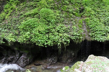 神庭の滝の下流にある玉垂の滝