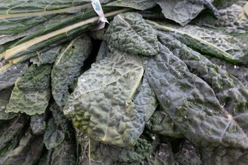 Close-up photo of fresh dinosaur kale (lacinato kale) showing its dark, puckered, elongated leaves arranged in a rustic wooden crate against a neutral background. Natural side lighting highlights the 