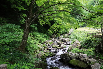 岡山県真庭市　神庭の滝自然公園