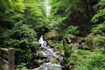 岡山県真庭市　神庭の滝自然公園