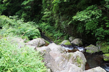 岡山県真庭市　神庭の滝自然公園