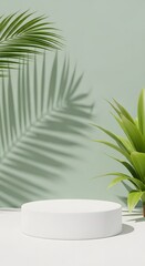 Obraz premium White cylindrical podium with a tropical palm leaf casting a shadow on a light green wall.