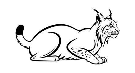 Striking black and white illustration of a lynx in a relaxed pose