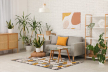 Interior of modern room with grey sofa, glass coffee table and houseplants. Blurred view