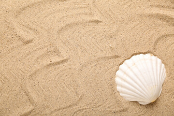 Beautiful seashell on beach sand with waves