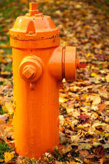 orange fire hydrant and fallen autumn leaves