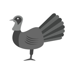 Turkey bird Graphic
