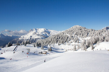 Ski slopes in the ski area des Houches Chamonix Mont-Blanc Haute-Savoie France