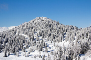 Ski slopes in the ski area des Houches Chamonix Mont-Blanc Haute-Savoie France