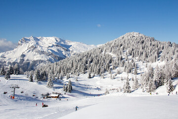 Ski slopes in the ski area des Houches Chamonix Mont-Blanc Haute-Savoie France