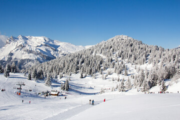 Ski slopes in the ski area des Houches Chamonix Mont-Blanc Haute-Savoie France
