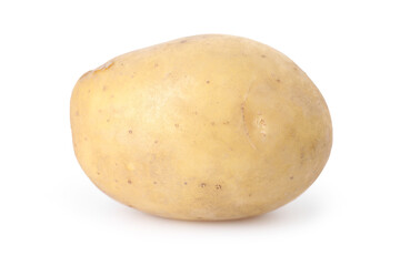 One fresh raw potato isolated on white