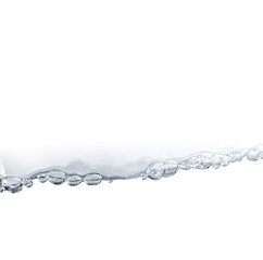 白背景に水