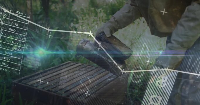 Senior beekeeper lifting smoker, pumping bellows beneath lid, calming bees with farming data graphs