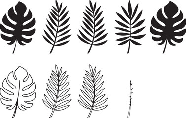 Monstera palm fern leaf outlines monstera leaf palm leaf