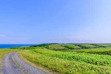 宗谷丘陵の絶景を巡る周氷河ロード 
