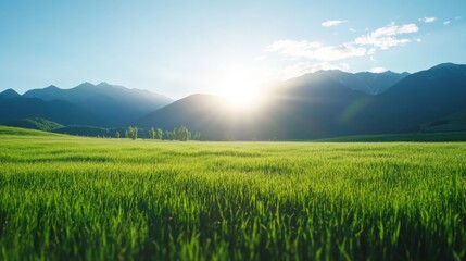 Green field under clear blue sky with mountains in distance landscape