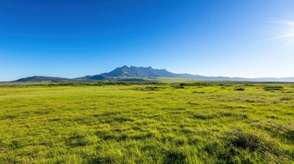 Obraz premium Green meadow landscape under blue sky with distant mountain range