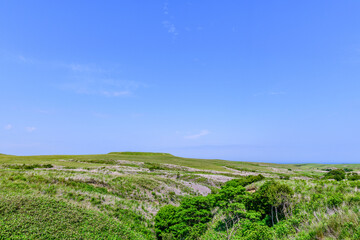 宗谷丘陵の絶景を巡る周氷河ロード 
