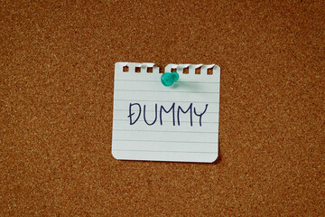 There is a piece of paper with the word DUMMY. It is as an eye-catching image.