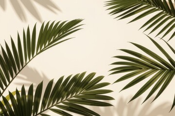 Fototapeta premium Green Palms Over Light Background 