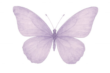 Obraz premium Delicate purple butterfly spreading wings, watercolor artwork, transparent backdrop, perfect for design compositions