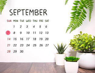 Calendar with date 7 September and flowers on wooden table near color wall.