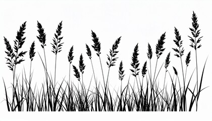 Black silhouette of tall wild grass and meadow herbs. A minimalist botanical vector illustration of field plants isolated on a white background.