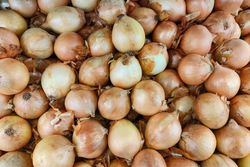 Close‑up of golden-yellow onions piled in a supermarket produce bin.