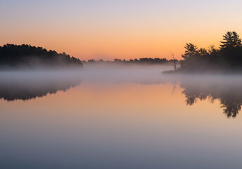 Fototapeta premium Serene sunrise mist shrouds a tranquil lake, reflecting the pastel dawn sky and silhouetted trees.