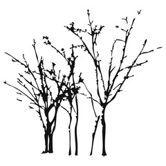 Hand drawn tree silhouette on white background
