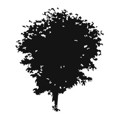 Hand drawn tree silhouette on white background