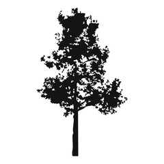 Hand drawn tree silhouette on white background