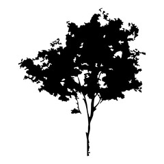 Hand drawn tree silhouette on white background