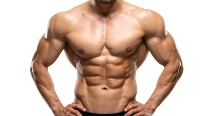 Fototapeta premium Abs PNG, Muscular Male Torso Isolated, Transparent Background, Fitness and Bodybuilding Concept