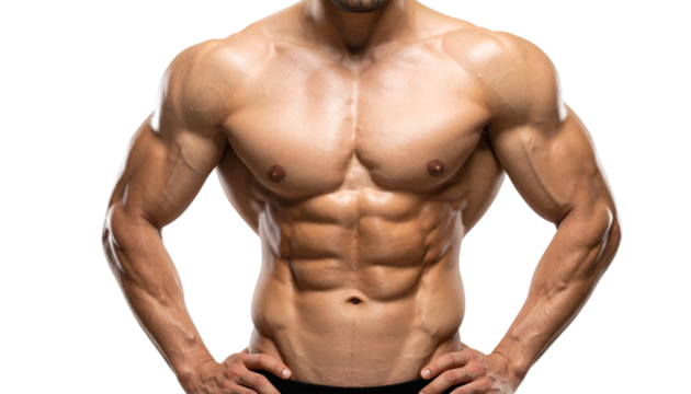Abs PNG, Muscular Male Torso Isolated, Transparent Background, Fitness and Bodybuilding Concept