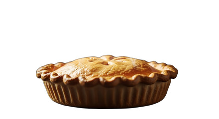 Warm, Golden-Brown Baked Pie Fresh from the Oven