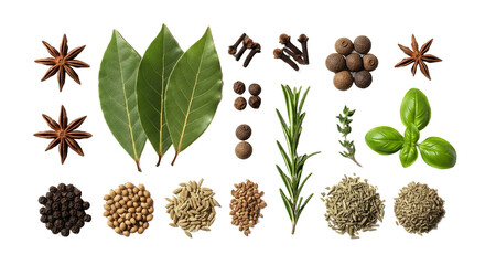 Fototapeta premium Aromatic Herbs Spices Collection Elevate Your Culinary Creations