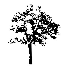 Hand drawn tree silhouette on white background