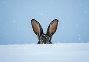 A cute rabbit peeking out from the snow during a snowfall
