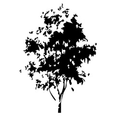 Hand drawn tree silhouette on white background