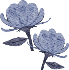 Watercolor illustration of nature plants, flowers and objects on isolated background