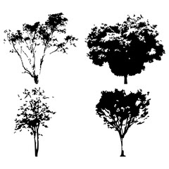 Fototapeta premium Hand drawn tree silhouette on white background