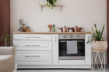 Interior of stylish kitchen with white counters, houseplants and utensils
