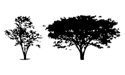 Hand drawn tree silhouette on white background