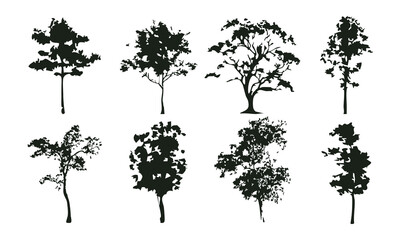 Fototapeta premium Hand drawn tree silhouette on white background