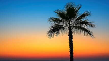 Silhouette palm tree at sunset