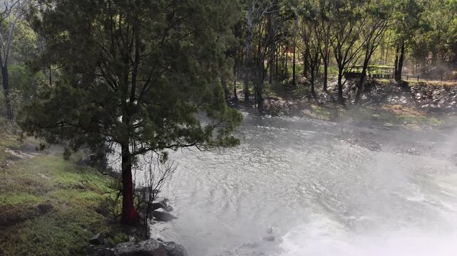 Water flowing through the Barron River surrounded by trees in Queensland, Australia