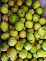 A Pile of Fresh Limes for Sale
