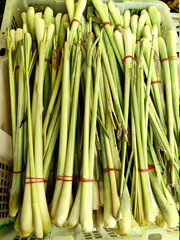 Fresh Lemongrass Bundles at a Market